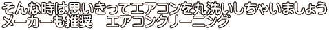 そんな時は思いきってエアコンを丸洗いしちゃいましょう メーカーも推奨　エアコンクリーニング